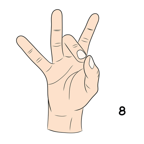 Lenguaje de señas, número 8
 - Vector, imagen