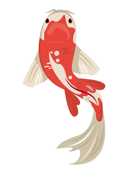 white and red koi fish - Vector, Image
