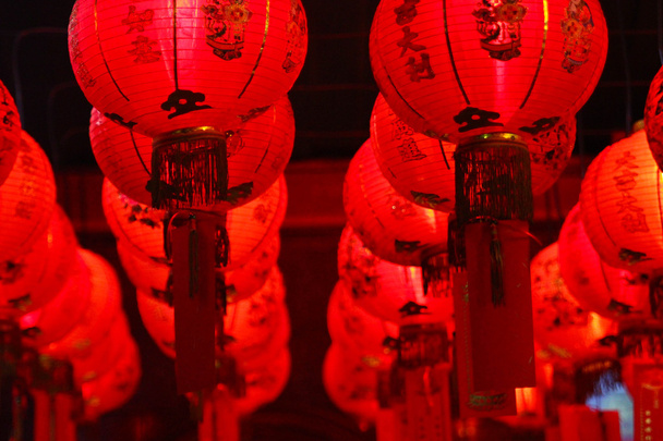 Chinese lantern - Zdjęcie, obraz