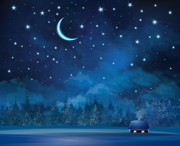 House on starry sky background and forest - Vector, Image