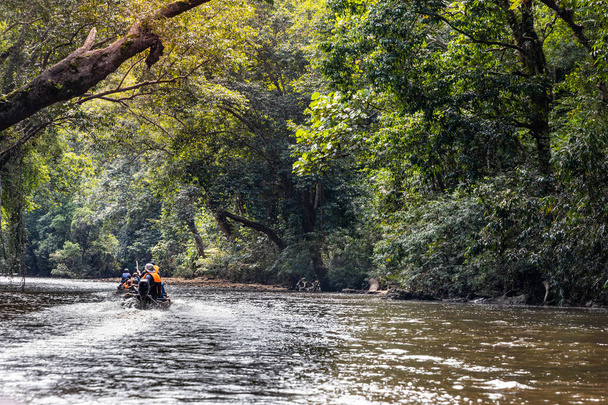 Folyó körutazás a festői Tahan folyó mentén buja esőerdős lombozattal a Taman Negara Nemzeti Parkban, Pahang - Fotó, kép