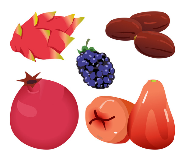 datums, dragonfruit, blackberry, granaatappel en rose apple - Vector, afbeelding