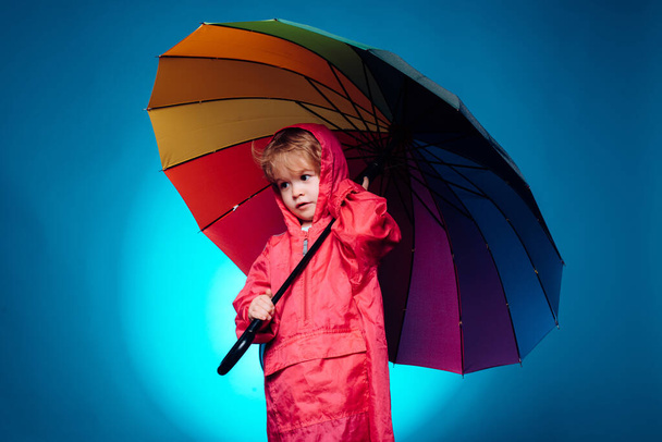 Child advertise your product and services. Handsome little guy in preparing for Autumn. Cute little child wearing in autumn clothes on autumn rain day. Cheerful boy in raincoat with colorful umbrella. - Φωτογραφία, εικόνα