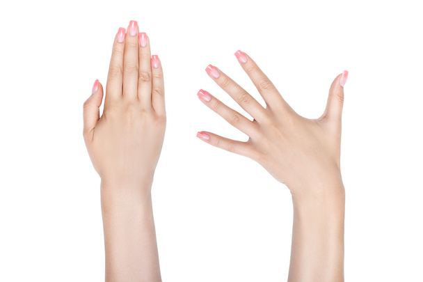 vrouwelijke handen met prachtige nagels. - Foto, afbeelding