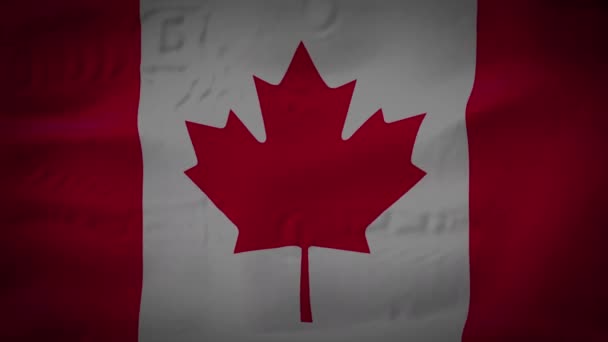 Канада Реалістичний національний прапор безшовна петля розмахуючи анімацією - Кадри, відео