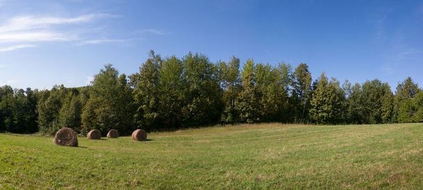 Balas de rollo de heno en el campo contra el bosque durante el soleado día de verano con nubes en el cielo, forraje de ganado durante el invierno - Foto, Imagen
