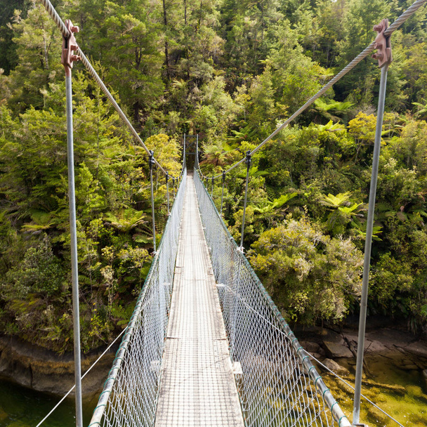 Sencillo puente colgante que cruza sobre un río rocoso y termina en una densa y frondosa vegetación de selva verde del Parque Nacional Abel Tasman South Island Nueva Zelanda - Foto, Imagen