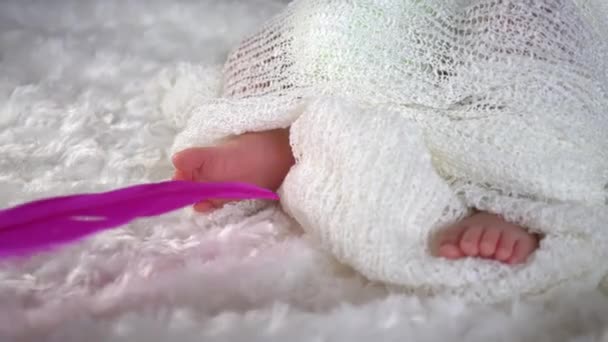 Az újszülött baba lába rózsaszín tollal érintkezik a rossz testvérétől. - Felvétel, videó