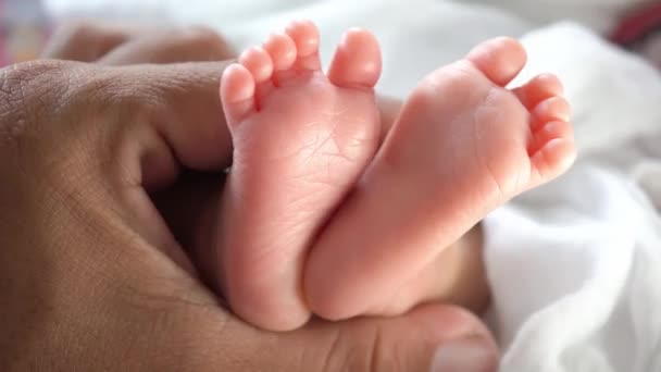Selektywne skupienie noworodka stóp jest dotyk przez ojca ciemnej ręki - Materiał filmowy, wideo
