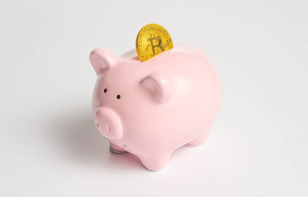 Klasszikus rózsaszín malacpersely kriptovaluta szimbólummal - bitcoin arany érme - Fotó, kép