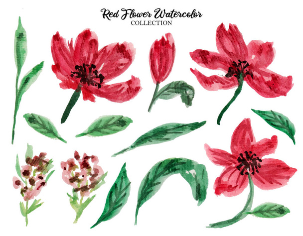 Czerwony kwiat kolekcja akwareli w formacie EPS i JPG wysokiej rozdzielczości 3000 dpi - Wektor, obraz