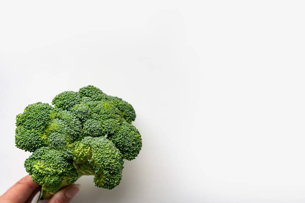 broccoli on white background with place for text - Valokuva, kuva