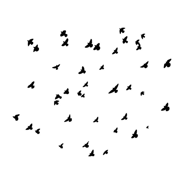 Silhouette of birds. Vector flock of birds in the sky. isolated background. - Vector, Image