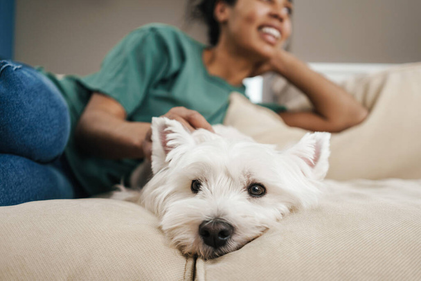 Happy black woman stroking her dog while resting on sofa at home - Fotoğraf, Görsel