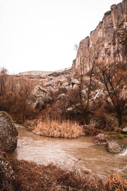 Vertical view of the landscapes inside the canyon of the Ihlara Valley in Cappadocia, Turkey on a rainy day in autumn - Foto, imagen