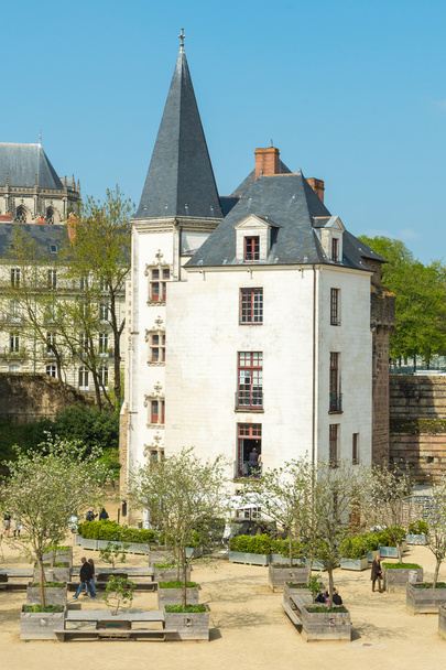 Castillo bretón, Nantes, Francia
 - Foto, Imagen