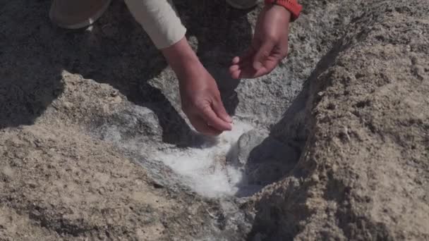 Тема - геологія і дослідження кристалів і порід природного походження. Один самець бере зразки морської солі на скелі біля Середземного моря на острові Кіпр. Геолог на роботі - Кадри, відео