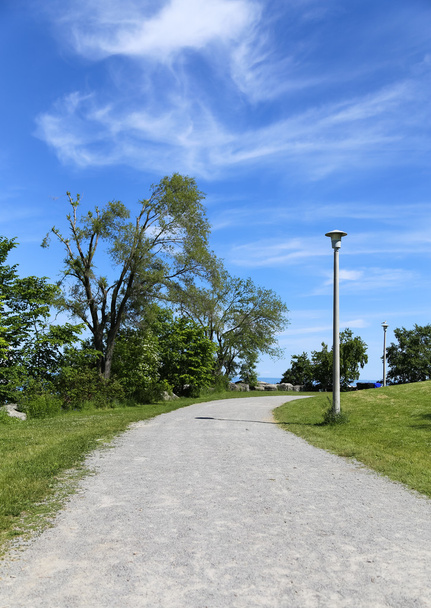 Cesta v parku - Fotografie, Obrázek