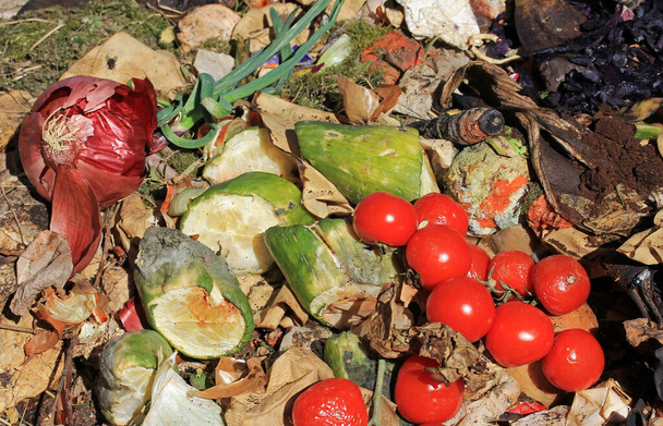 Zahozené a zkažené jídlo na hromadě odpadků. Kompostovatelný organický odpad  - Fotografie, Obrázek