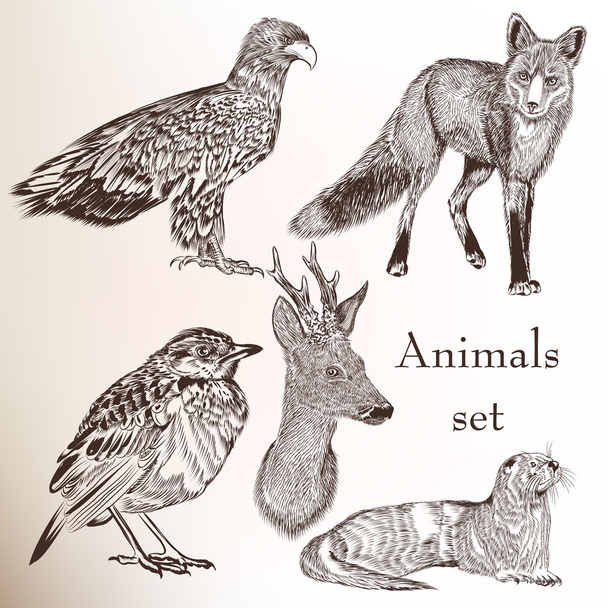 Set of hand drawn animals - Vector, imagen
