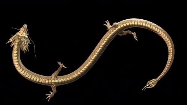 Kínai sárkány animációs hurok a végtelen jel közé alfa útvonal 3d rendering.Realisztikus részlet koncepcionális. - Felvétel, videó