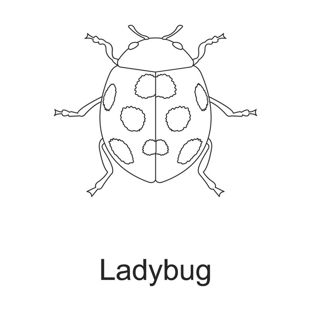 Kever insect vector omtrek icoon. Vector illustratie bug insect op witte achtergrond. Geïsoleerde schets illustratie icoon van keverpest . - Vector, afbeelding