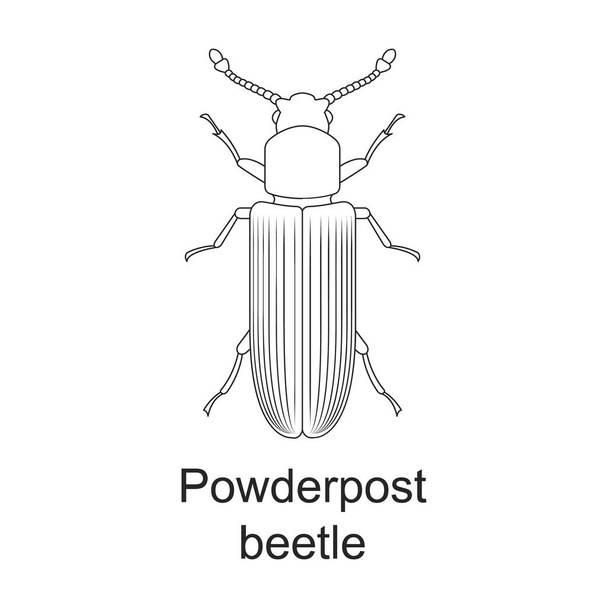 Böcek böceği vektör ana hatları simgesi. Beyaz arkaplanda vektör illüstrasyon böceği var. Böcek ilaçlarının izole edilmiş taslak çizim simgesi . - Vektör, Görsel
