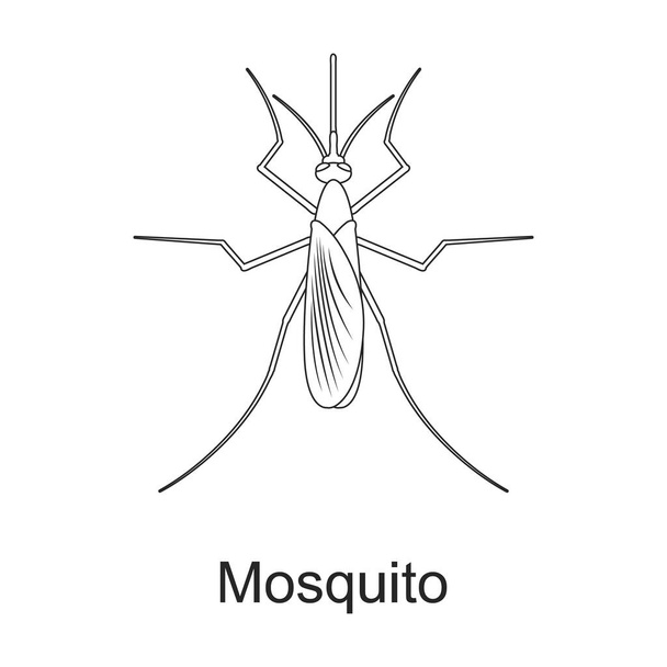 Beetle Insektenvektorumrandung Symbol. Vektorillustration Insekt auf weißem Hintergrund. Vereinzelte Umrisse illustrieren Symbol des Käferschädlings . - Vektor, Bild