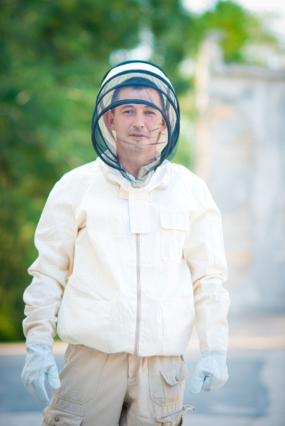 Beehive beekeeper inspects - Foto, immagini