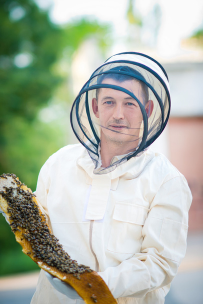 Beehive beekeeper inspects - Foto, imagen