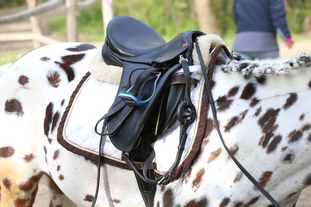 Op de achterkant van het paard worden een bruin lederen zadel en zadeldoek gedragen. Verlicht door zonlicht klaar voor paardensport training buiten - Foto, afbeelding