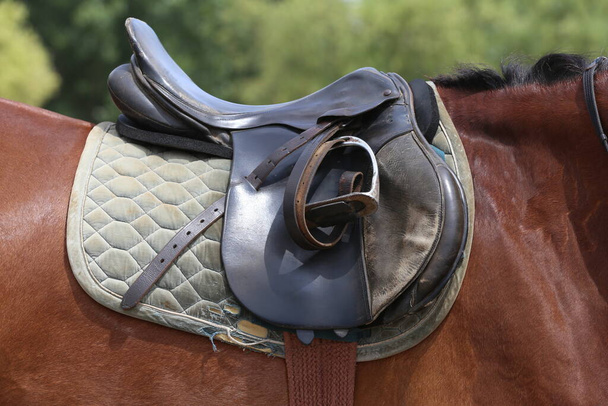 On the back of the horse, a brown leather saddle and saddle cloth are worn on top. Illuminated by sunlight ready for equestrian training outdoor - Photo, Image