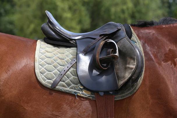 On the back of the horse, a brown leather saddle and saddle cloth are worn on top. Illuminated by sunlight ready for equestrian training outdoor - Fotografie, Obrázek