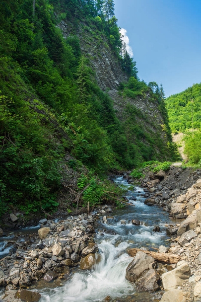 Mountain river in the Carpathian mountains Ukraine. Summer beautiful landscape - Photo, Image