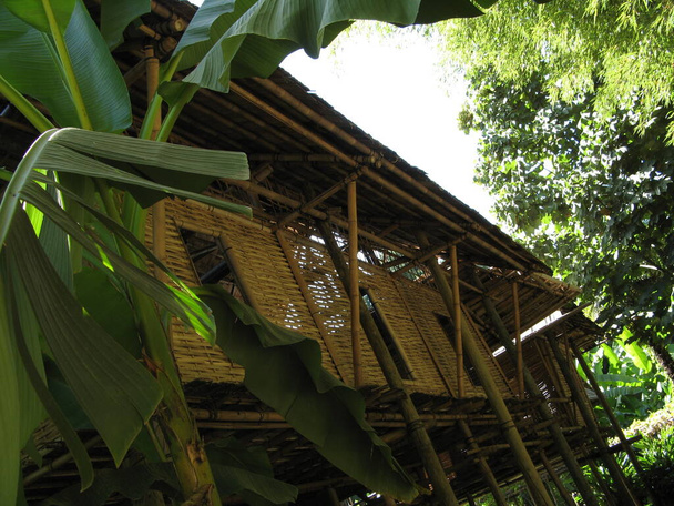 Chata laotańska, w tropikalnym krajobrazie - Zdjęcie, obraz