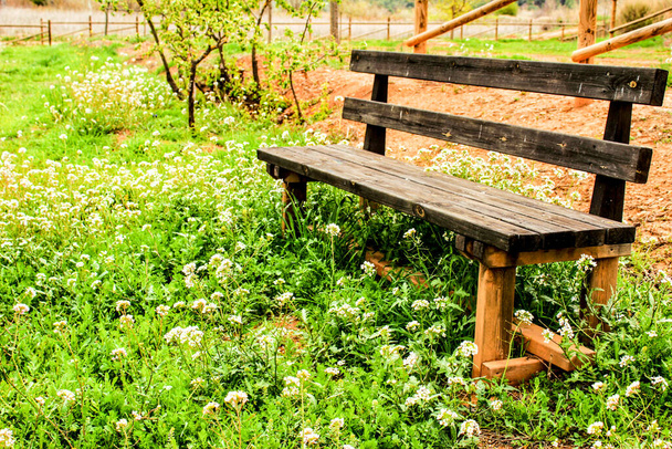 Ξύλινο παγκάκι περιτριγυρισμένο από βλάστηση και λουλούδια σε ένα πάρκο σε ένα χωριό της Ισπανίας - Φωτογραφία, εικόνα