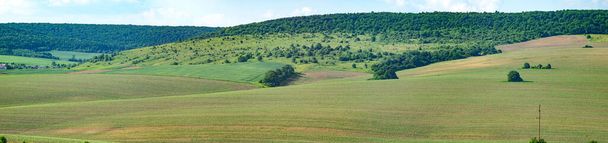 Beautiful panorama of agricultural fields and hills on a summer day - Foto, Imagen
