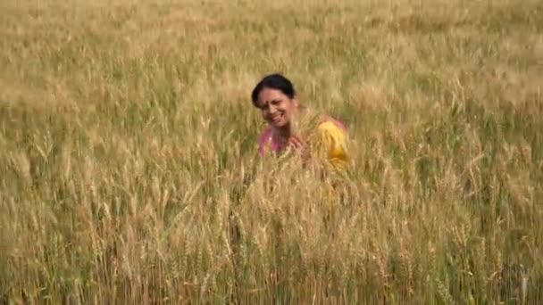 Съемки индийской женщины в традиционной одежде, сидящей на пшеничном поле во время сбора урожая  - Кадры, видео