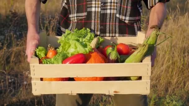 Oogsten. Een man boer heeft een doos met groenten. 4K - Video
