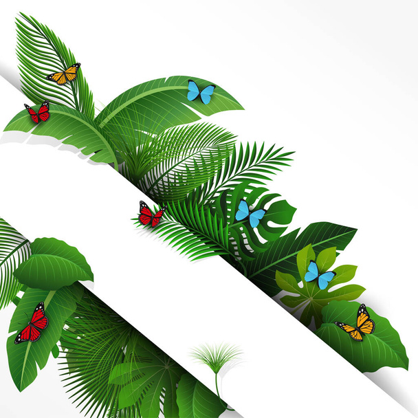 Sign with text space of Tropical Leaves and butterflies. Suitable for nature concept, vacation, and summer holiday. Vector Illustration - Вектор,изображение