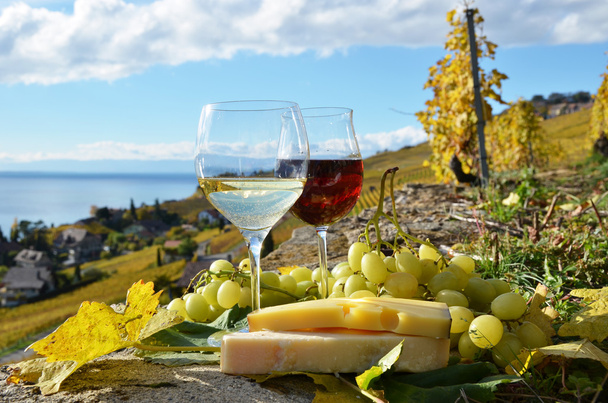 wijn, kaas en druiven - Foto, afbeelding