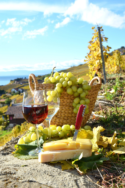 wijn, kaas en druiven - Foto, afbeelding