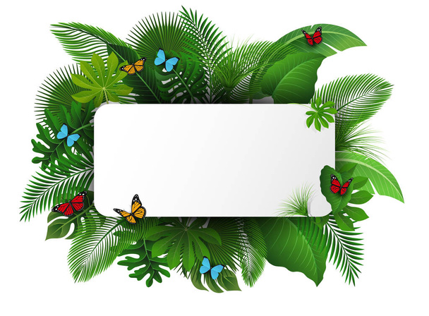 Firme con espacio de texto de hojas tropicales y mariposas. Adecuado para el concepto de naturaleza, vacaciones y vacaciones de verano. Ilustración vectorial - Vector, imagen