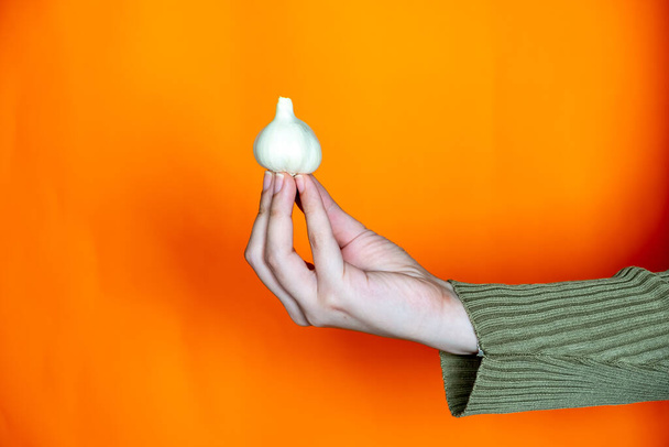 Hands holding small cute garlic with orange background - Photo, Image