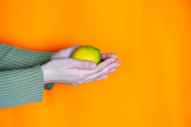 Hände halten Zitrone mit orangefarbenem Hintergrund - Foto, Bild