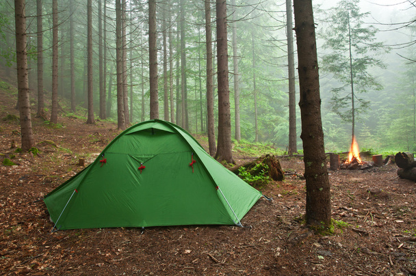 Палатка в лесу - Фото, изображение