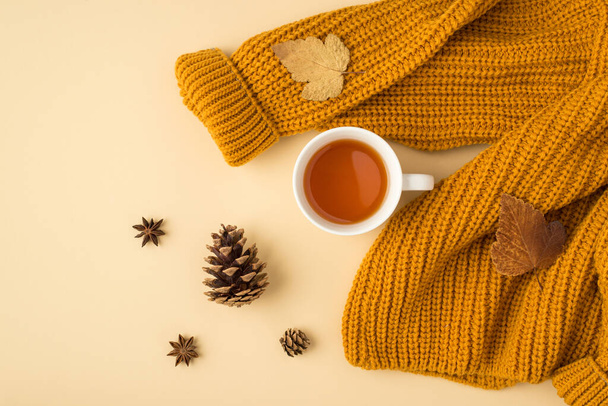 Top view photo of yellow knitted pullover cup of tea brown autumn leaves anise and pine cones on isolated light beige background - Photo, Image
