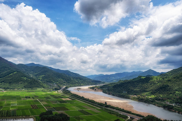 Güney Kore, Hadong 'da Seomjingang nehri ve çam ağaçlı pirinç tarlalarının manzarası. Yazın çekilmiş. - Fotoğraf, Görsel