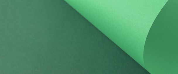 Design background curved background from green cardboard. Top view, flat lay. Banner. - Zdjęcie, obraz