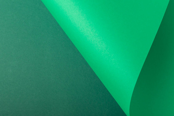 Design background curved background from green cardboard. Top view, flat lay. - Foto, imagen